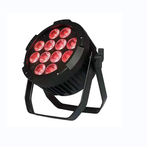 China Factory 12pcs10W 4in1 RGBW Par de luz impermeable FD-LPW1210